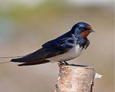 C:\Users\User\Desktop\Без названия (2).jpg